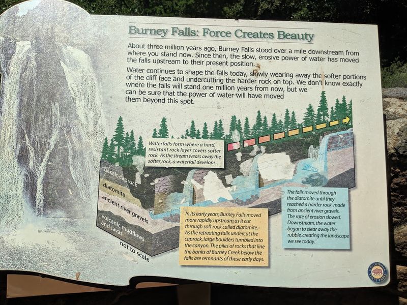 The Visitor Center and Educational Highlights