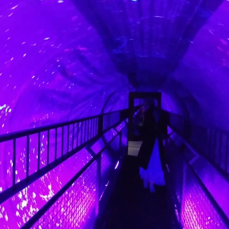 The Vortex Tunnel That Messes With Your Balance