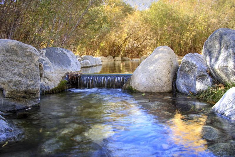 The Wading Pool That Cools Everyone Down