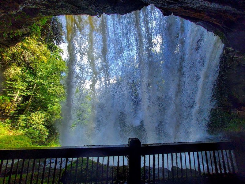 The Walk-Behind Experience: Nature's Most Magical Trick