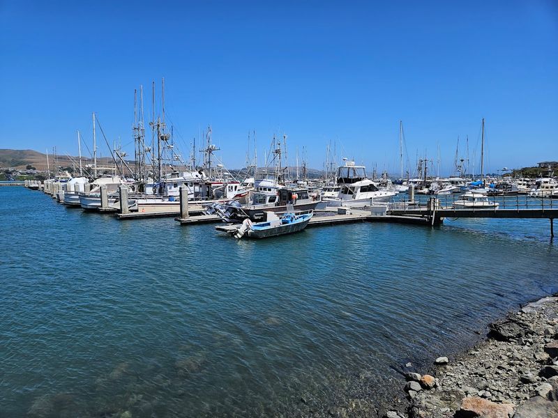 The Waterfront Views That Make Every Bite Better
