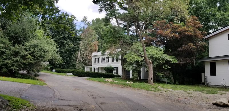 The Wellesley Avenue Neighborhood: Quiet Streets with Big Heart