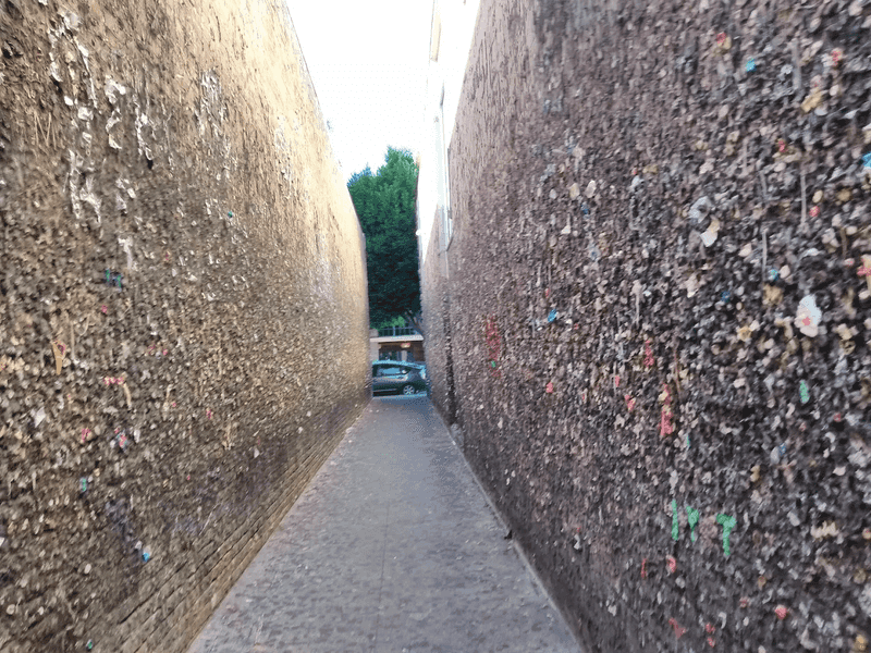 The Wild History Behind Gum Alley The Wild History Behind Gum Alley