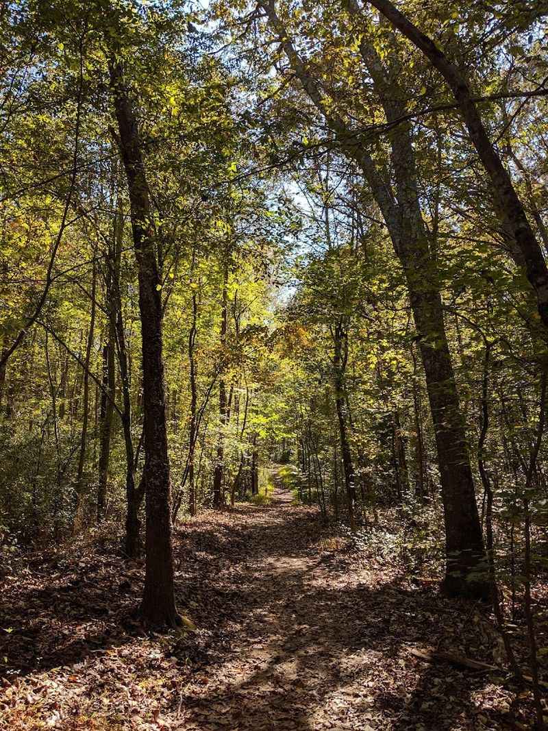 The Wild Meadow Trail The Wild Meadow Trail