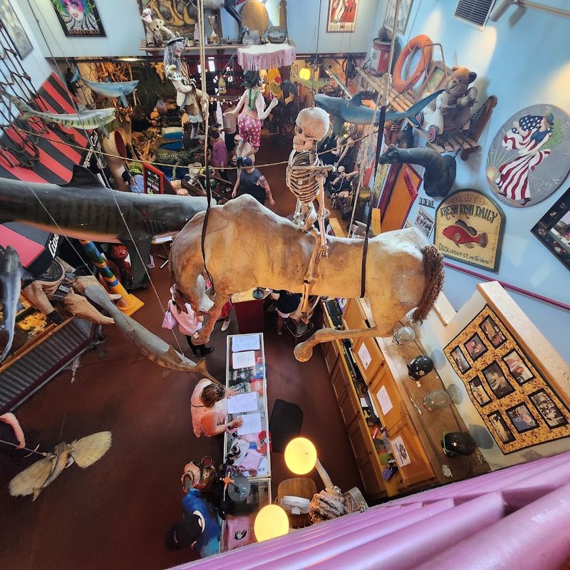 The Wild and Wacky Interior Decor