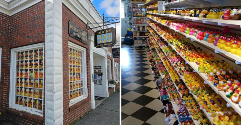 The World’s Largest Rubber Duck Store Is Hidden In Massachusetts, And Almost Nobody Knows About It