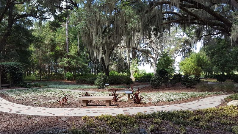 The Zen Garden: Silence Has Never Felt So Good