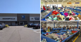 The enormous Florida Secondhand Store Where Everything in the Bins Is Sold by the Pound