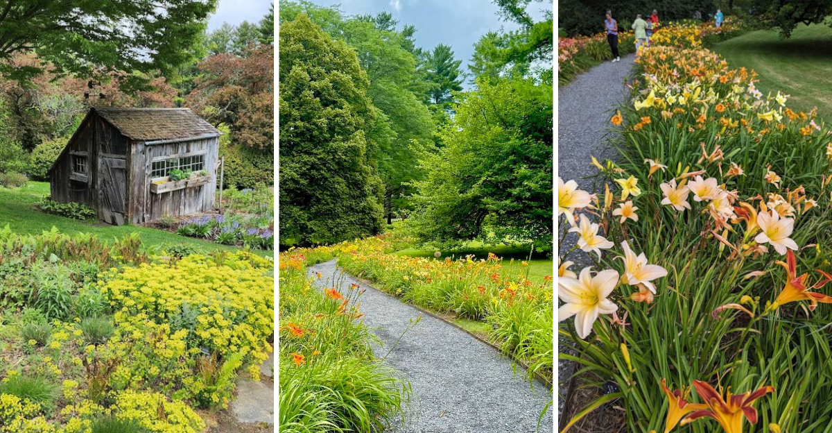 The picture perfect Massachusetts Garden That Belongs in A Disney Movie