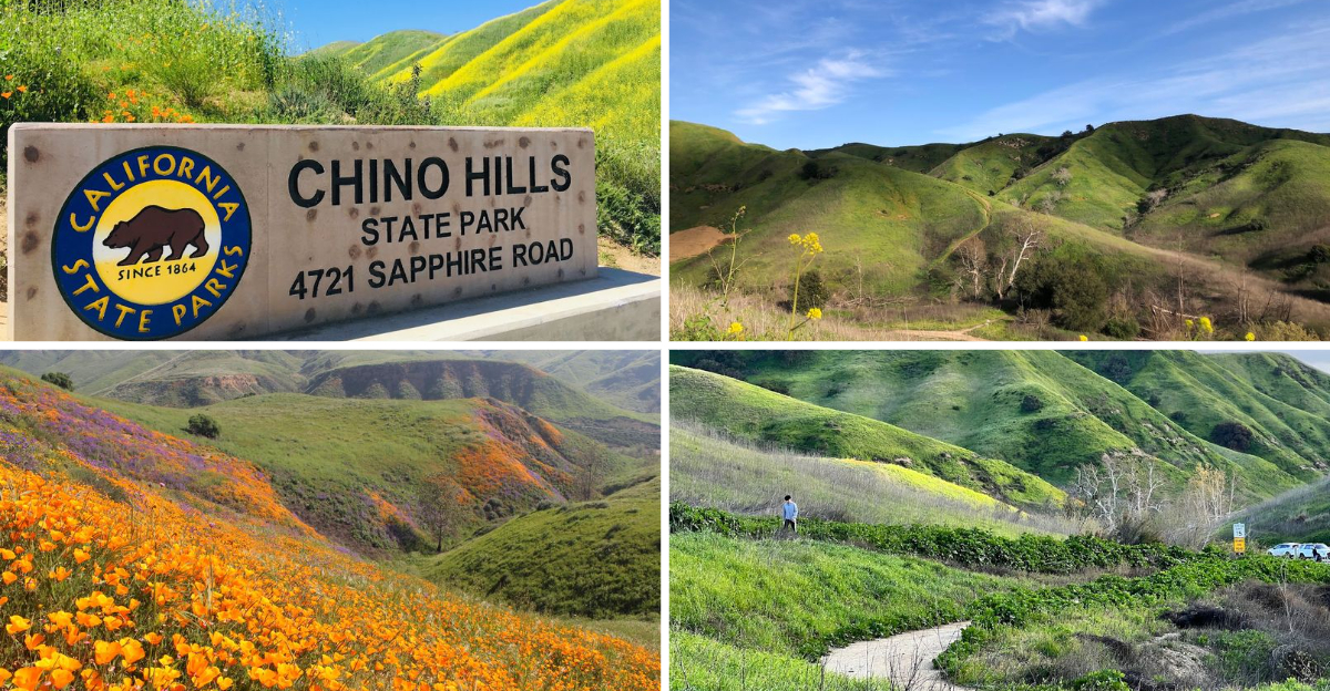 Theres A picture-perfect State Park in California With the Greenest Rolling Hills Youve Ever Seen