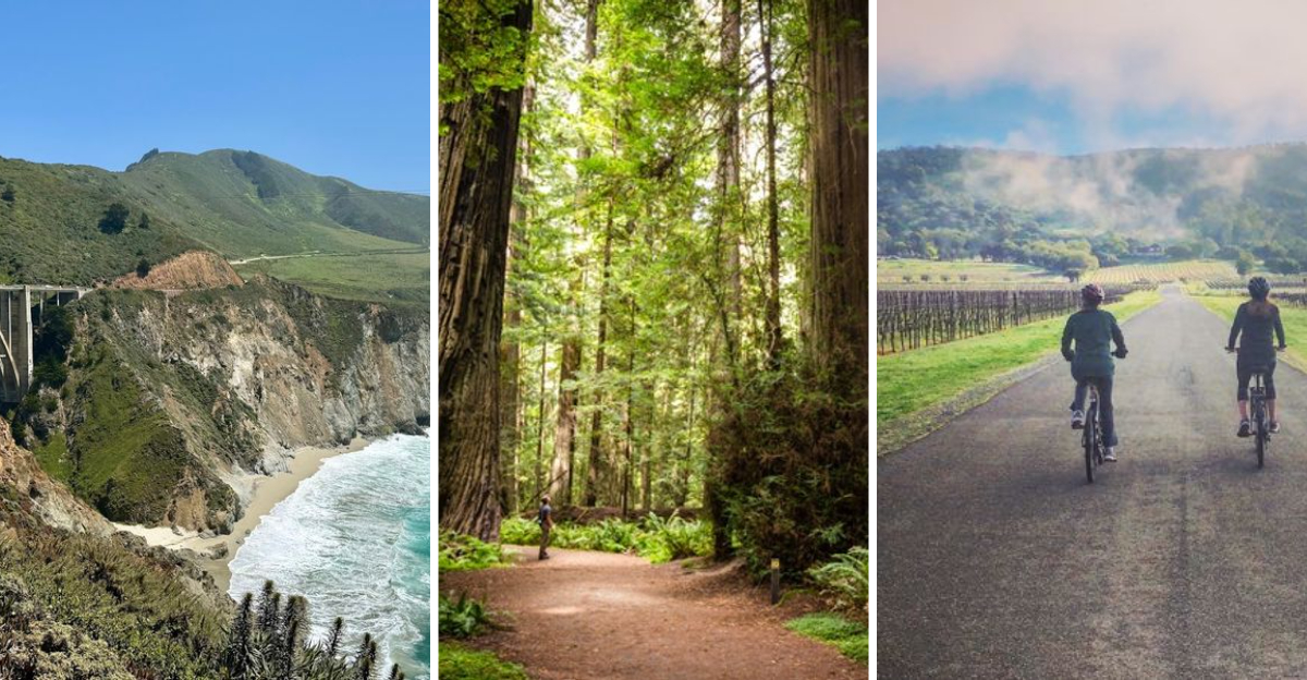 These 10 Budget Friendly California Road Trips Deliver Big Adventures For Less