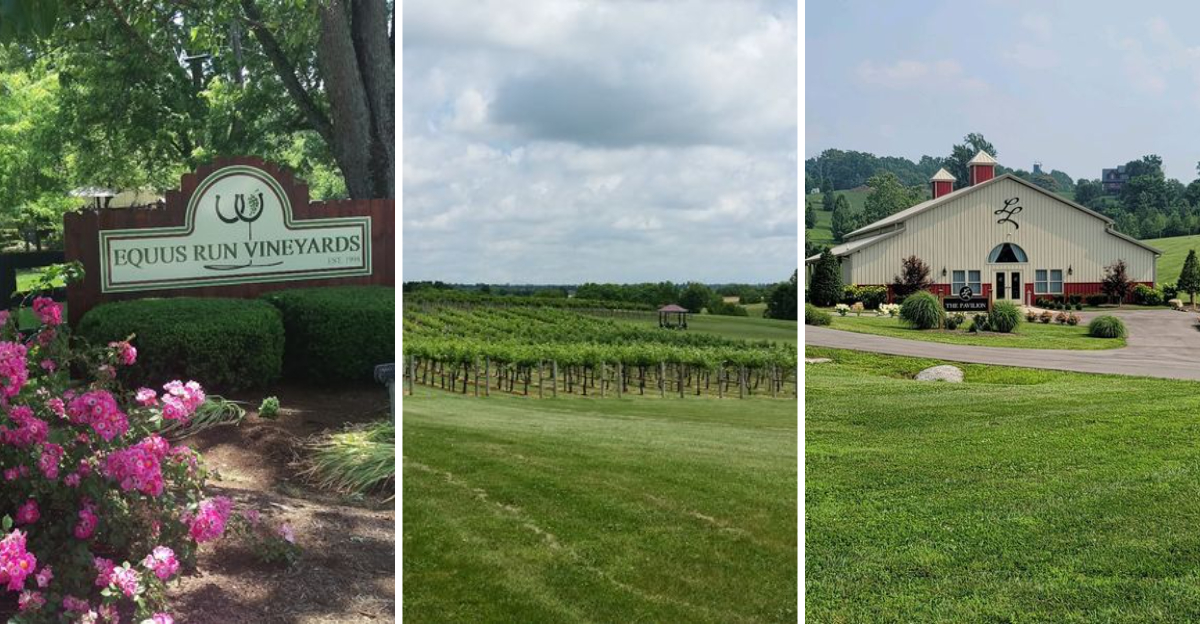 These Spectacular Kentucky Wineries Deliver Scenic Views And Unforgettable Wines Worth Planning A Trip Around