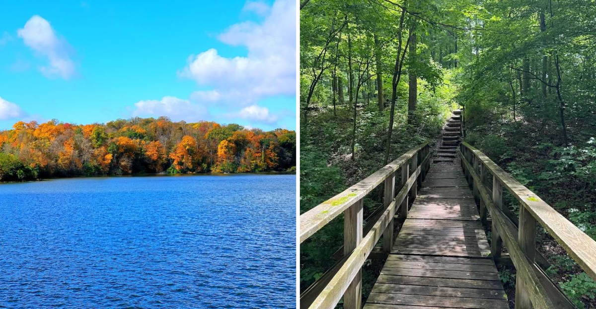 This 3000 Acre Ohio State Park Is One Of The States Quietest Places To Unplug