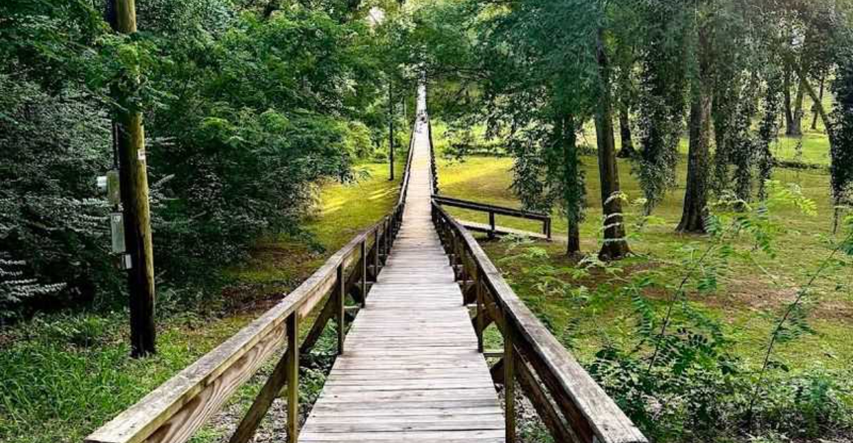 This 546 Foot Texas Footbridge Hike Feels Like An Adventure Through The Jungle