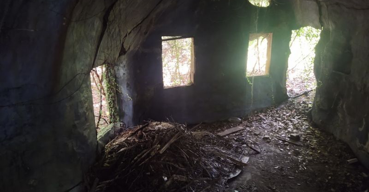 This Abandoned Florida Village Is Filled With Mysterious Tiny 22Elf Houses22