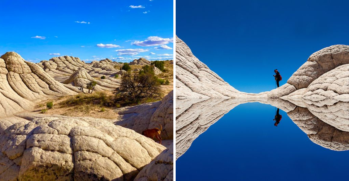 This Beautiful Arizona Destination Is One Of The Best Day Trips Youre Not Taking