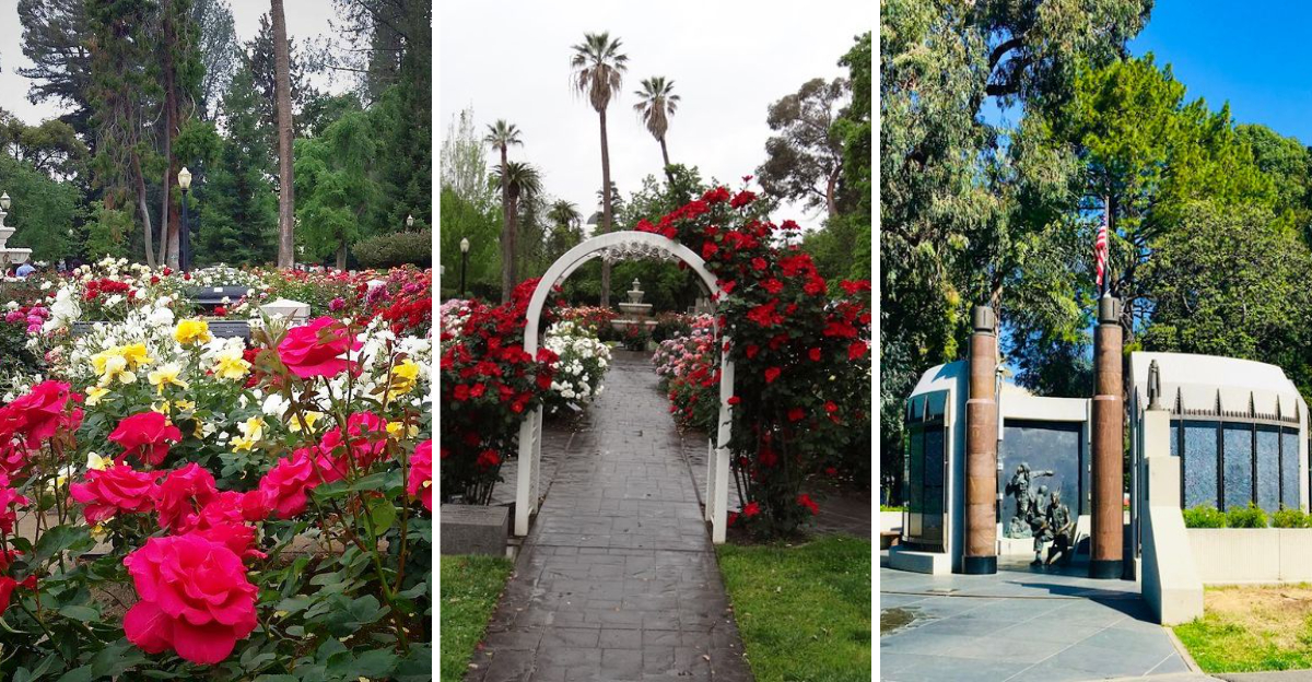 This Beautiful California Rose Garden Is Home To More Than 800 Stunning Varieties