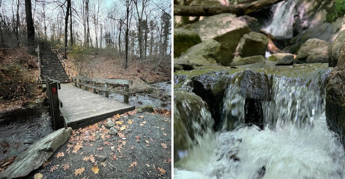 This Beautiful New Jersey State Park Is Made For Your Next Outdoor Adventure