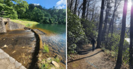 This Breathtaking Georgia State Park Deserves A Spot On Your Bucket List