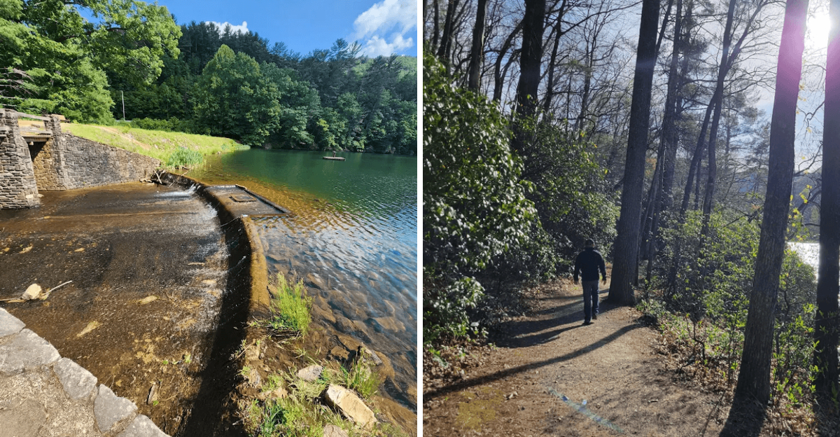 This Breathtaking Georgia State Park Deserves A Spot On Your Bucket List
