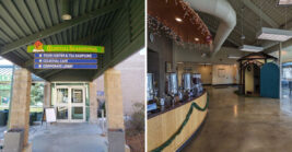This Colorado Tea Factory Has A Mint Room So Powerful, It Will Clear Your Sinuses Instantly