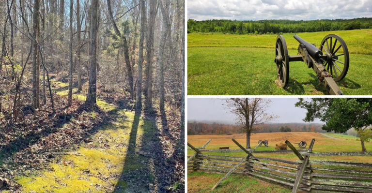 This Creepy Virginia State Park Feels Like It Belongs In A Stephen King Novel