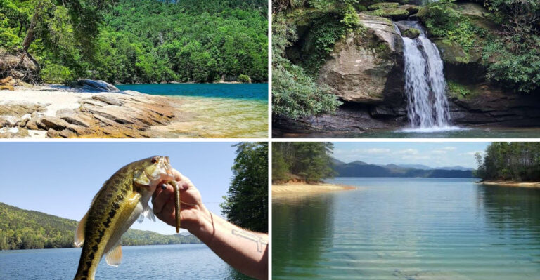 This Crystal-Clear South Carolina Lake Remains One Of The State’s Best Hidden Gems