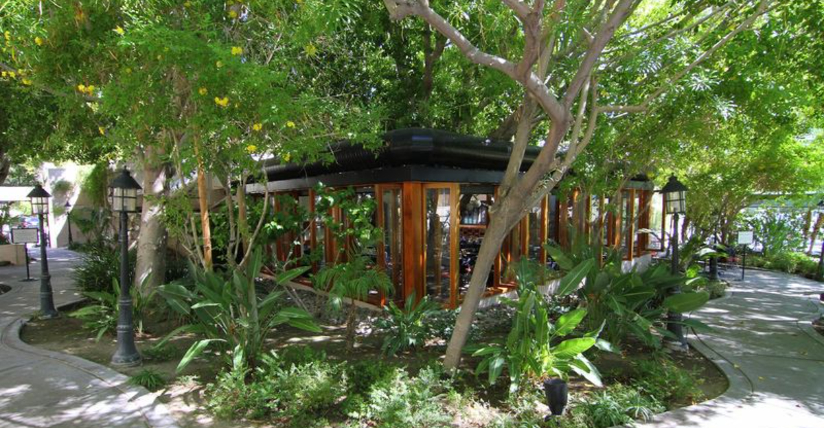This Dreamy California Restaurant Makes You Feel Like Youre Dining In The Middle Of A Forest