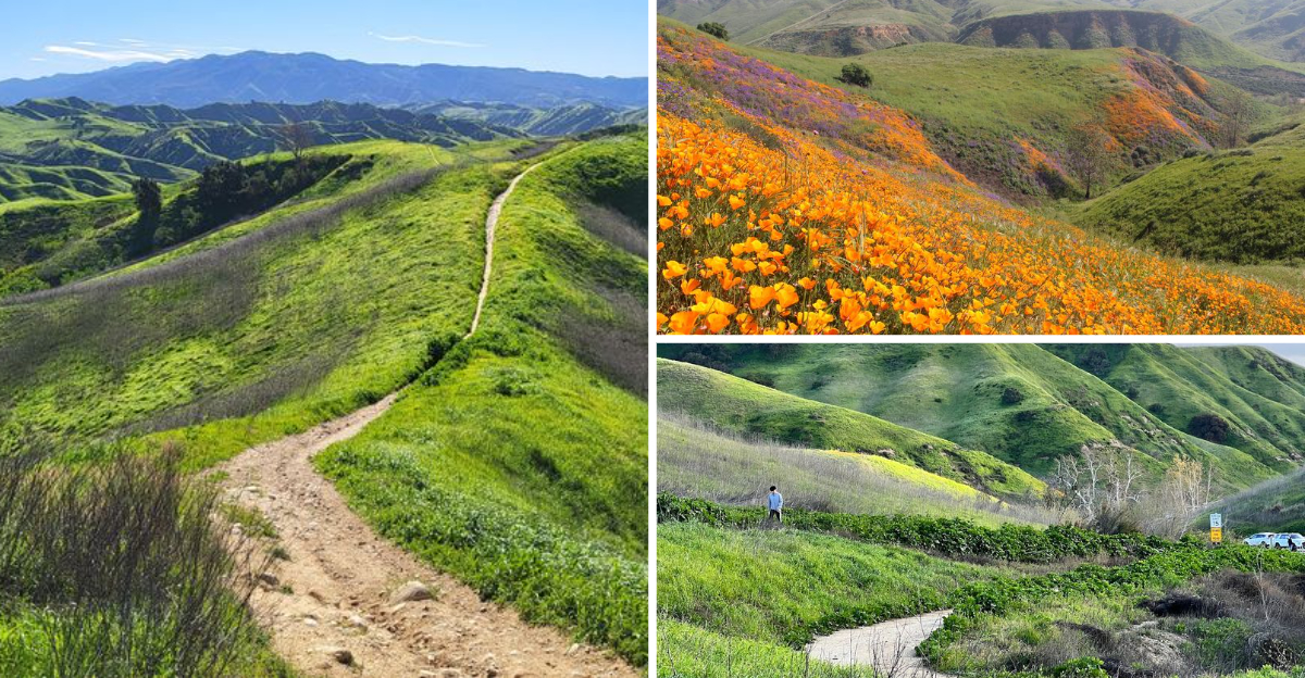This Dreamy California State Park Is One Of The States Most Beautiful Hidden Gems