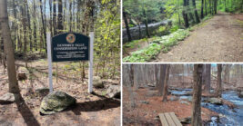 This Easy Massachusetts Hike Ends At A Waterfall Most Visitors Never See