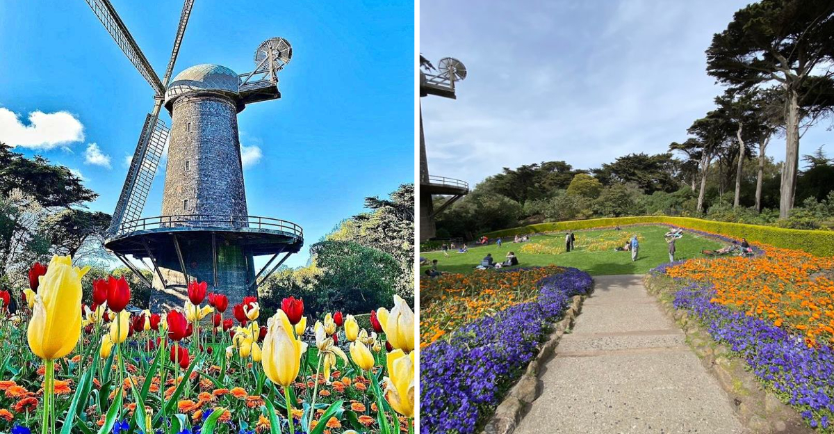 This Enchanting California Garden Feels Like A Secret World Waiting To Be