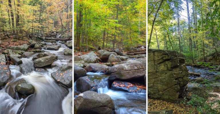 This Enchanting New Jersey State Park Feels Like Stepping Into A Fairytale