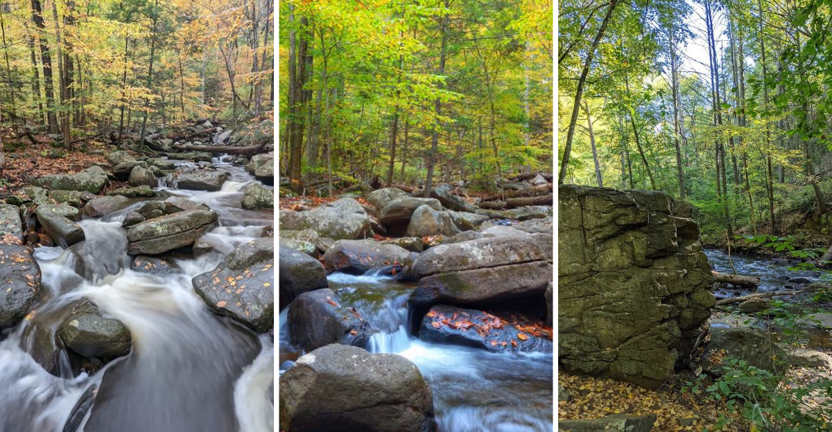 This Enchanting New Jersey State Park Feels Like Stepping Into A Fairytale