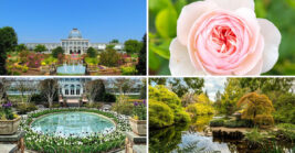 This Enchanting Virginia Garden Looks Almost Too Beautiful To Be Real