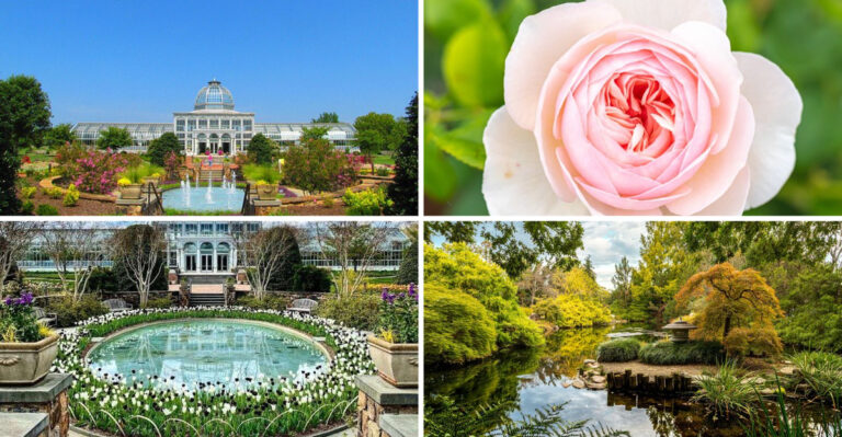 This Enchanting Virginia Garden Looks Almost Too Beautiful To Be Real