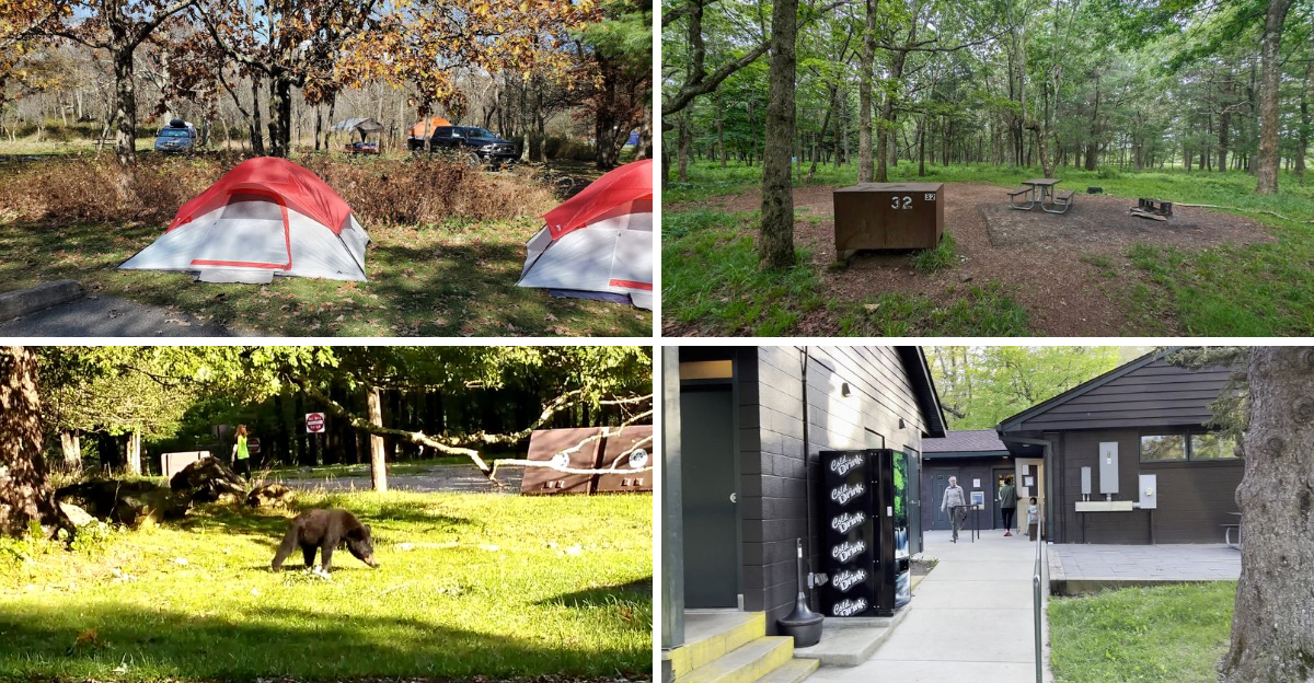 This Enormous Family Campground In Virginia Is So Large It Feels Like A Town Of Its Own
