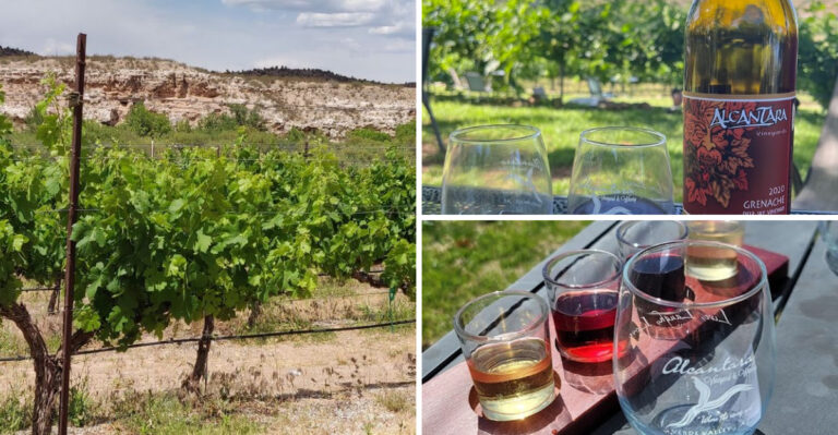 This Family-Owned Arizona Winery With 20,000 Vines Is A Hidden Gem Worth Discovering