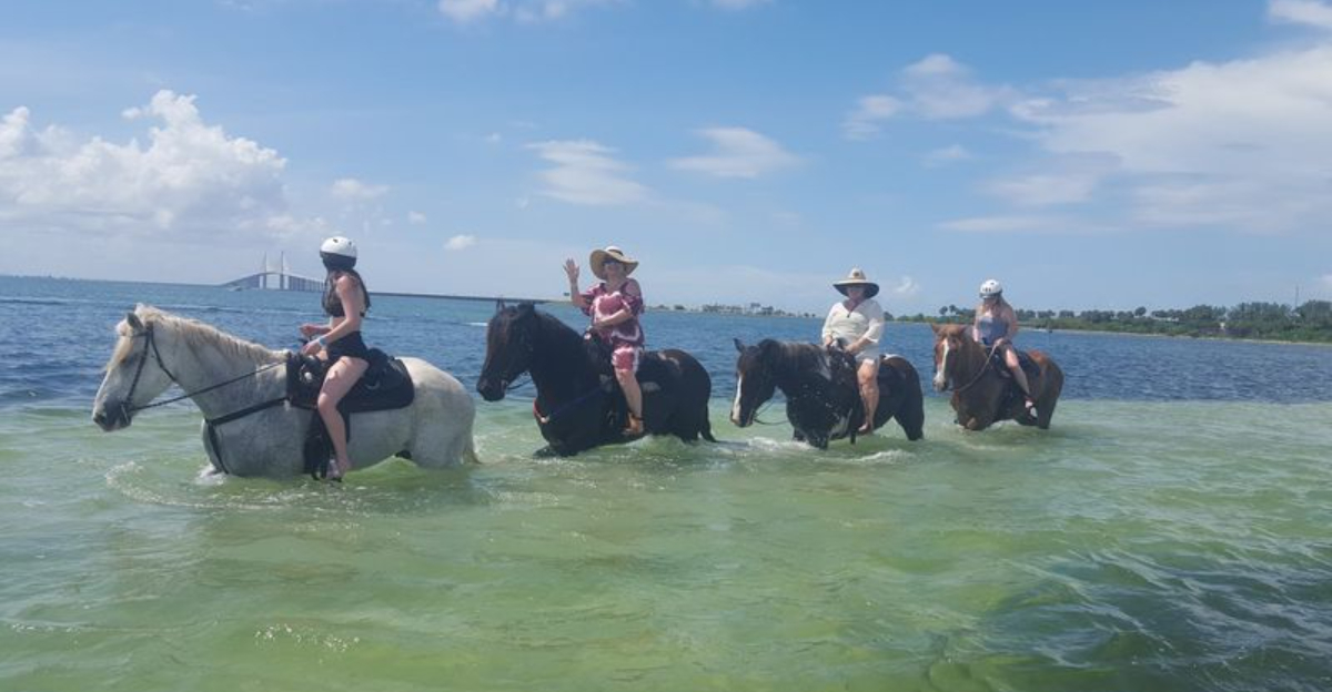 This Florida Farm Lets You Enjoy An Unforgettable Horseback Experience In The Water