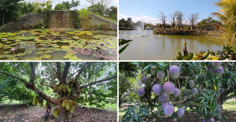 This Florida destination is the kind of place that feels made for a memorable day trip