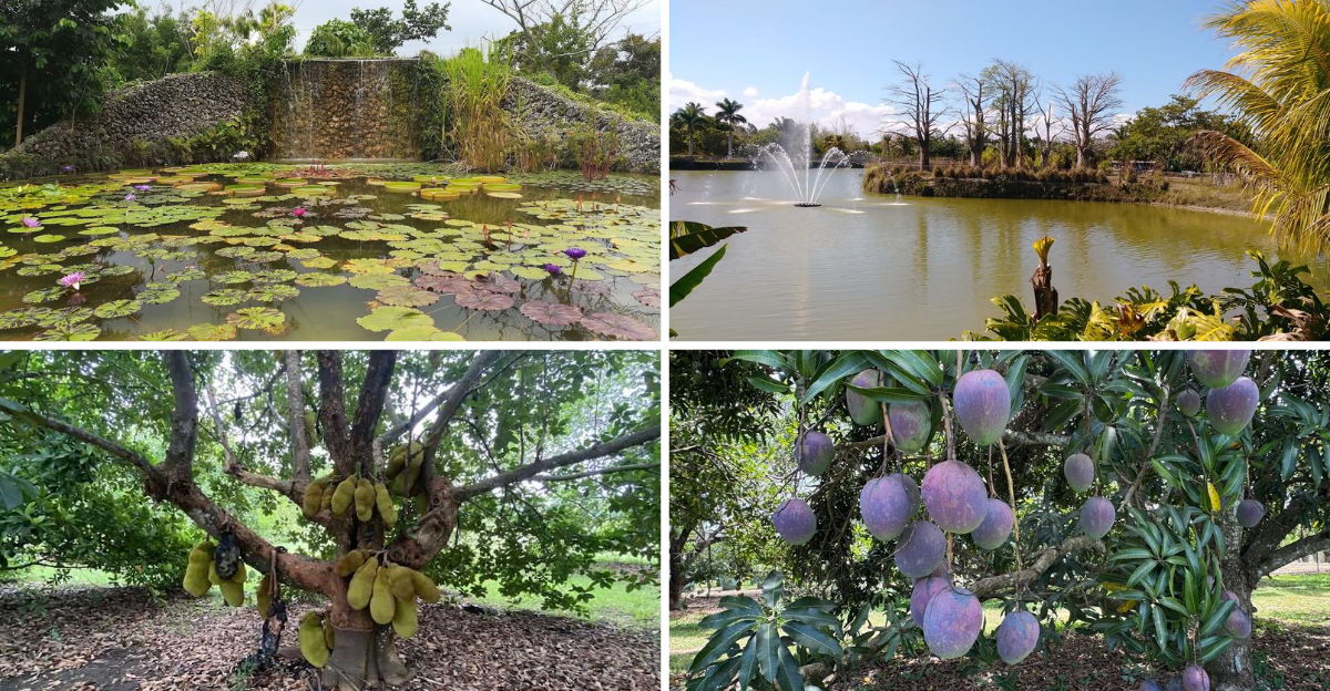 This Florida destination is the kind of place that feels made for a memorable day trip