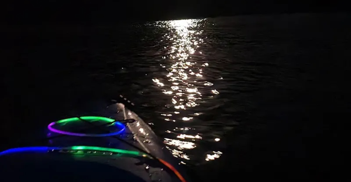 This Glowing Night Kayak Adventure On An Arizona Lake Feels Almost Magical