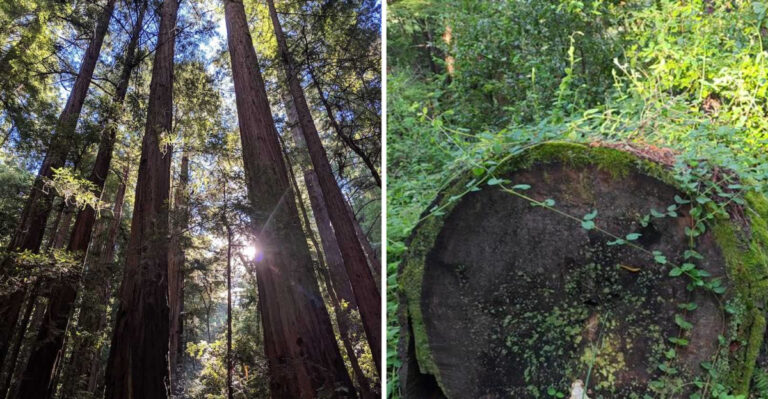 This Gorgeous California State Park Remains One Of The State’s Best Hidden Gems
