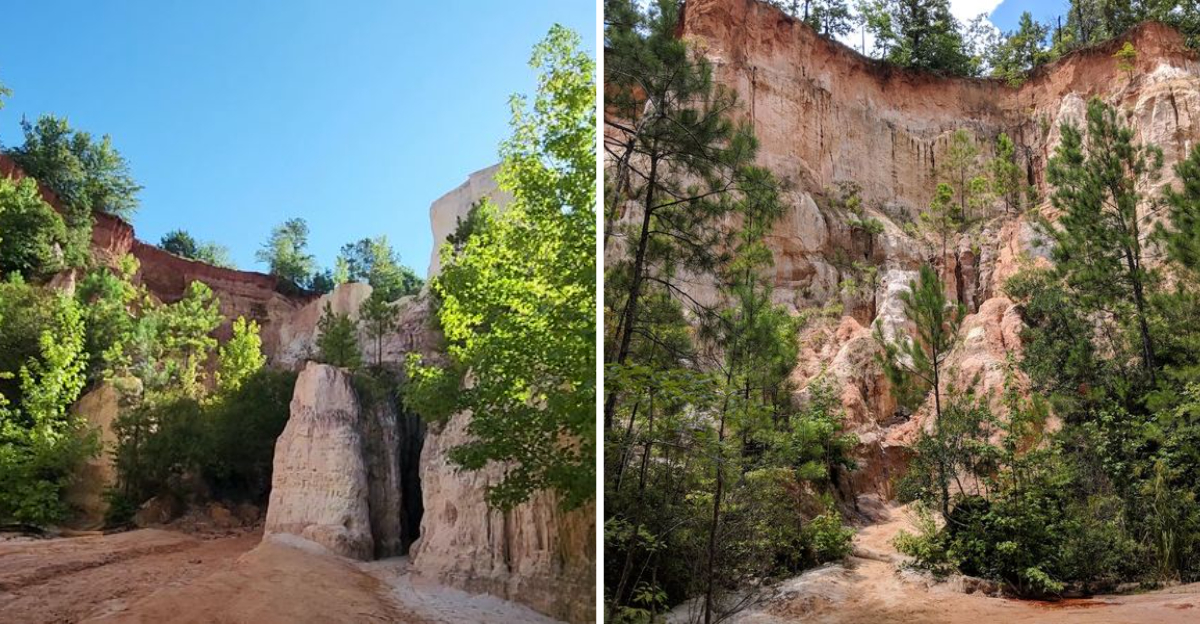This Gorgeous Georgia State Park Is Still One Of The States Best Kept Secrets