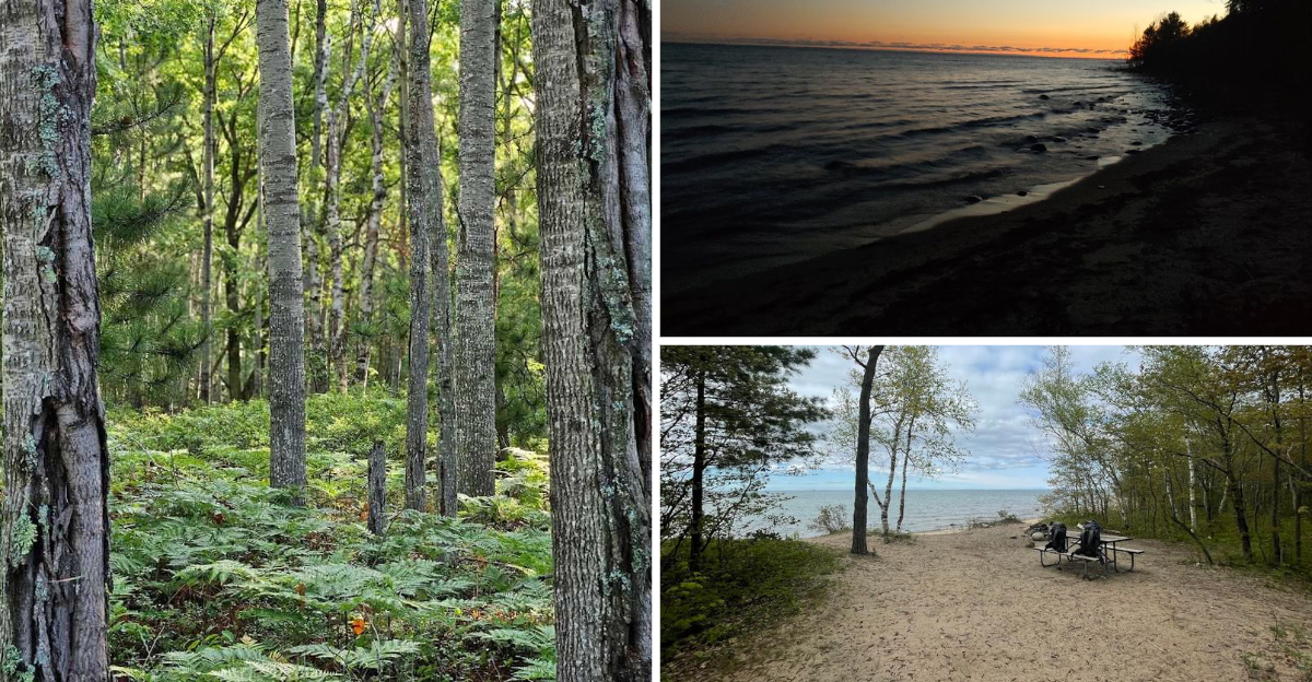 This Gorgeous Michigan State Park Remains One Of The States Best Hidden Gems
