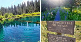 This Gorgeous Oregon Lake Is Completely Free To Visit And Feels Almost Unreal