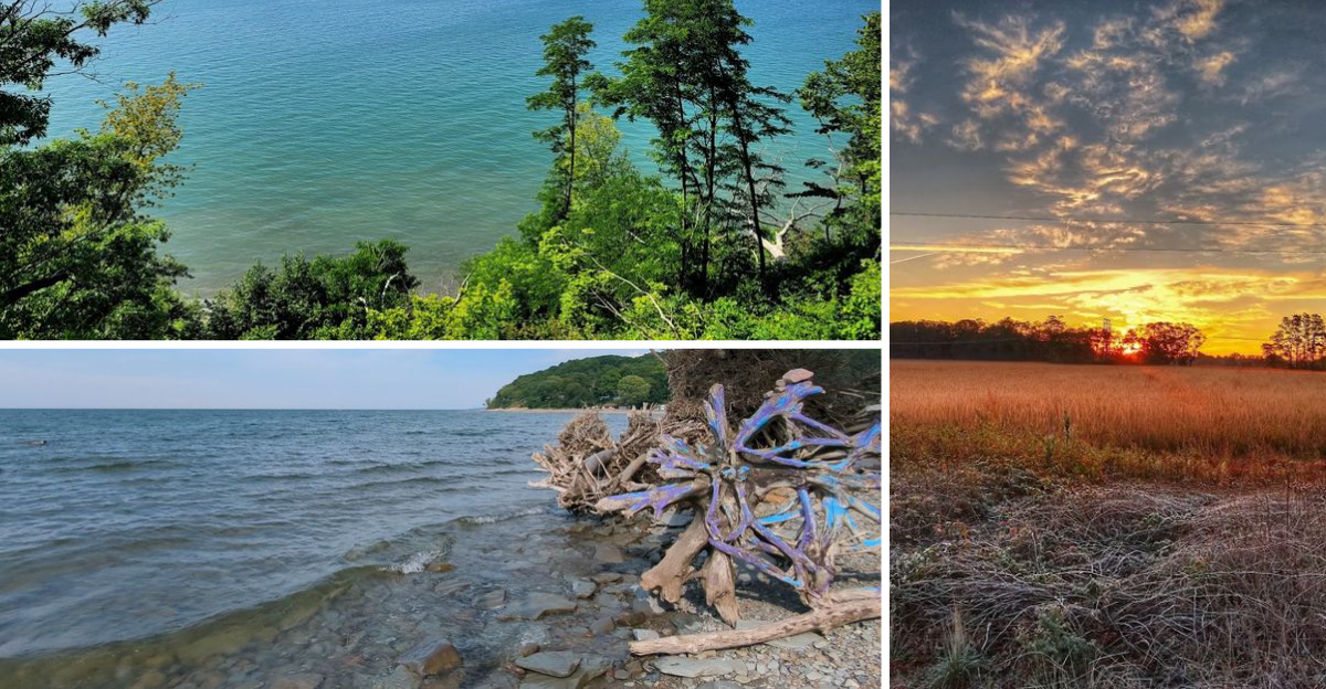 This Gorgeous Pennsylvania State Park Remains One Of The States Best Hidden Gems