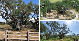 This Gorgeous Texas State Park Hides One Of The State’s Most Incredible Natural Wonders