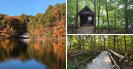 This Hidden Alabama Nature Park Is A Peaceful Escape Most Locals Haven’t Discovered