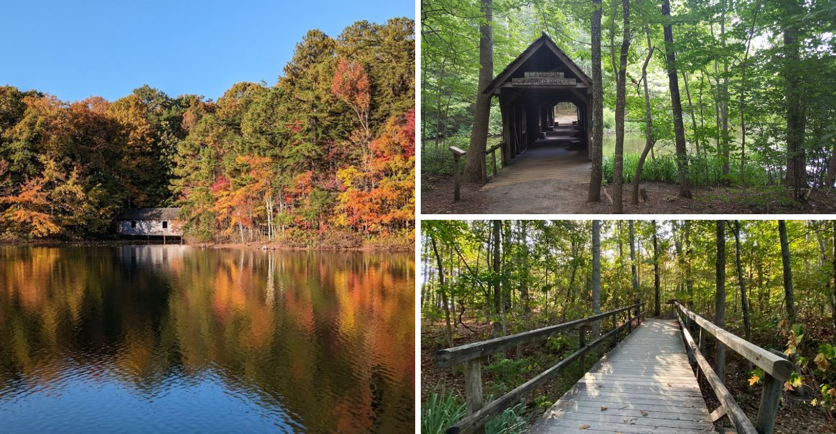 This Hidden Alabama Nature Park Is A Peaceful Escape Most Locals Havent Discovered