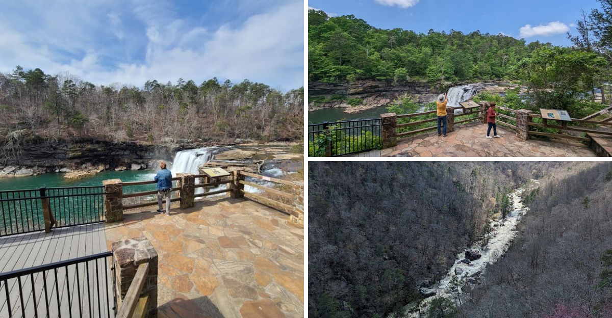 This Hidden Alabama Nature Park Is One Of The States Most Peaceful Hidden Gems